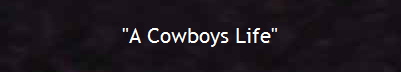 "A Cowboys Life"