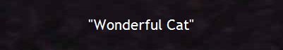 "Wonderful Cat"